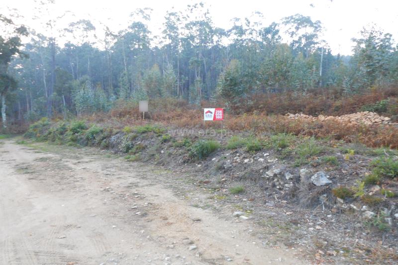 Terreno / Oliveira de Azeméis, Ossela