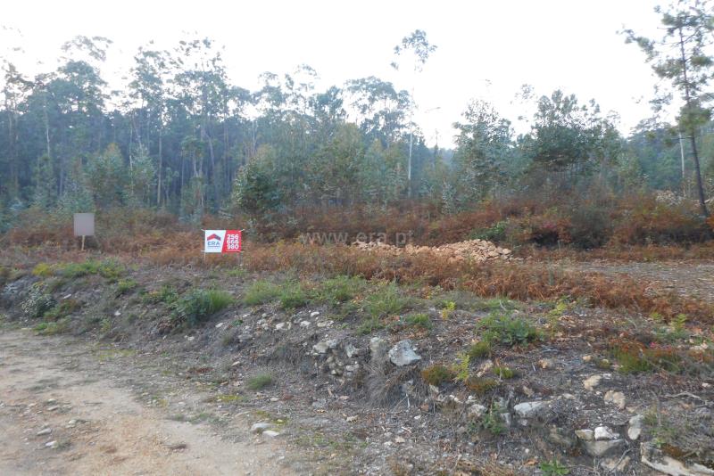 Terreno  Oliveira de Azeméis, Ossela - 777488 - 2