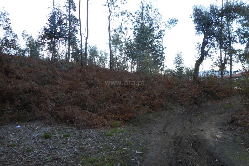 Terreno  Oliveira de Azeméis, Ossela - 777488 - 4