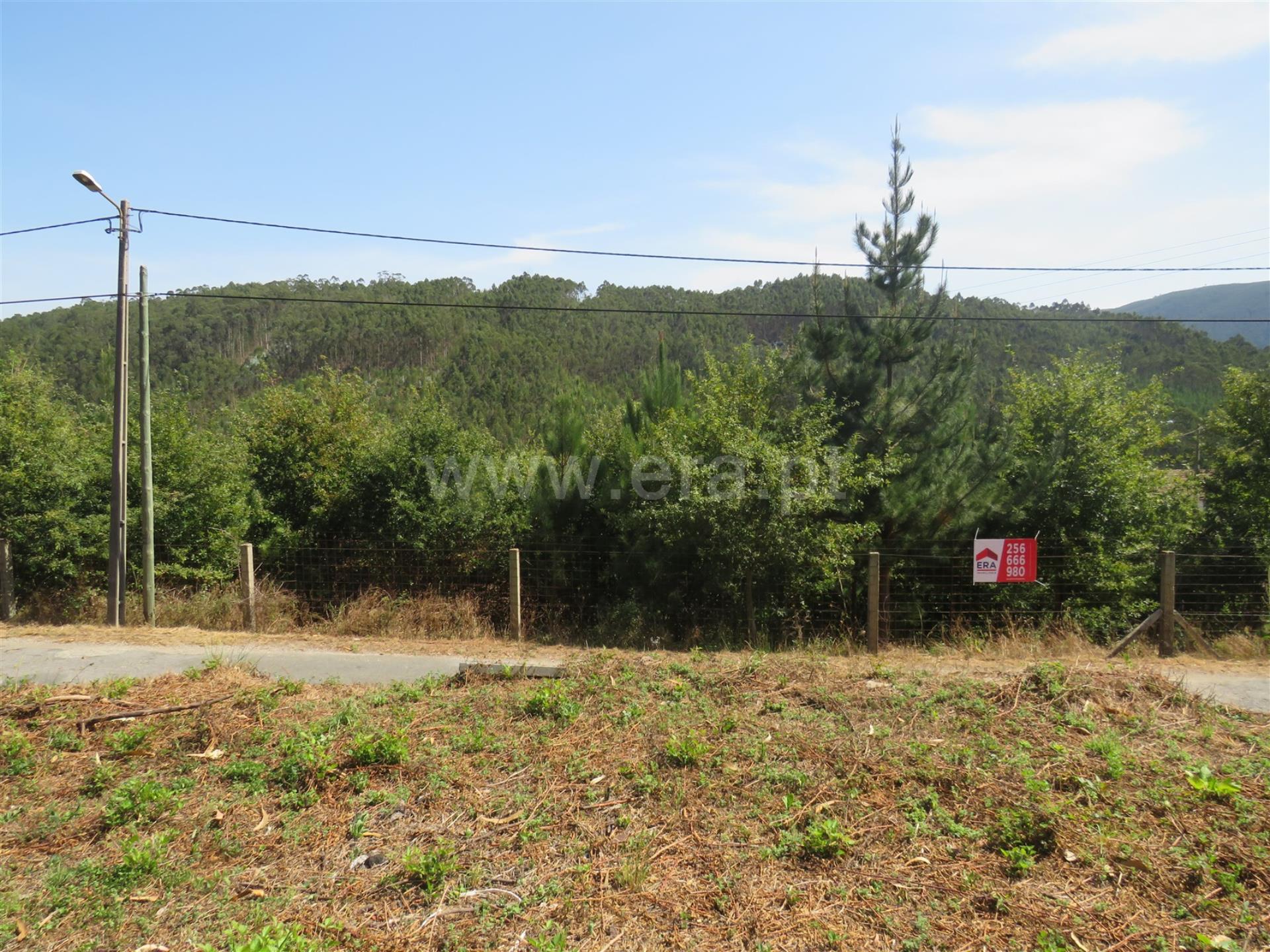 Land for sale in Oliveira de Azeméis, Portugal — €52,000