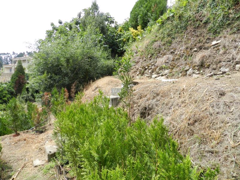 Terreno  Oliveira de Azeméis, Palmaz - 831710 - 3