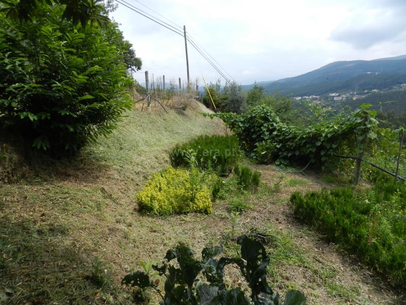 Terreno  Oliveira de Azeméis, Palmaz - 831710 - 4