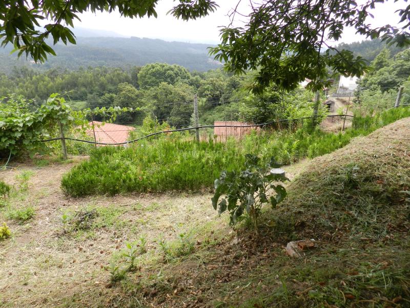 Terreno  Oliveira de Azeméis, Palmaz - 831710 - 5
