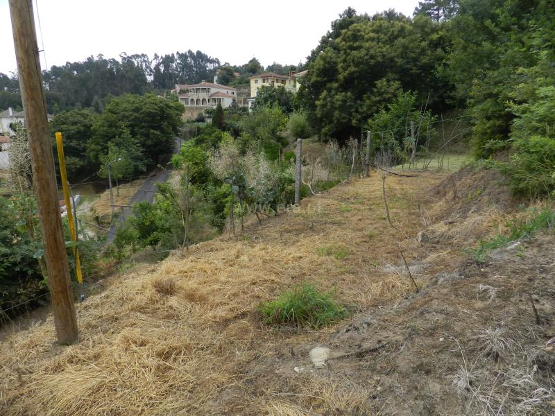 Terreno / Oliveira de Azeméis, Palmaz