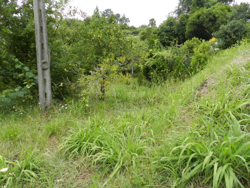 Terreno  Oliveira de Azeméis, Palmaz - 831710 - 7
