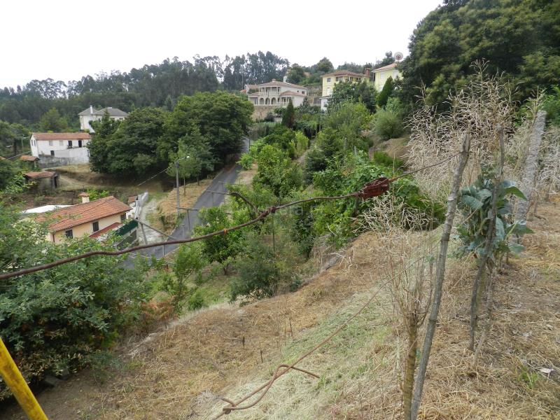 Terreno  Oliveira de Azeméis, Palmaz - 831710 - 8