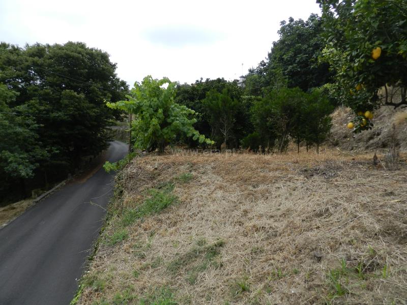 Terreno  Oliveira de Azeméis, Palmaz - 831710 - 10
