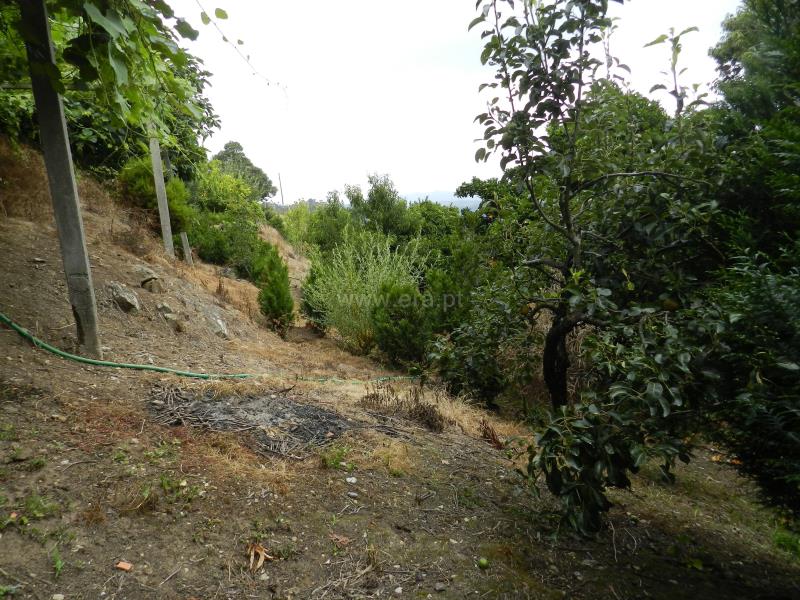 Terreno  Oliveira de Azeméis, Palmaz - 831710 - 14