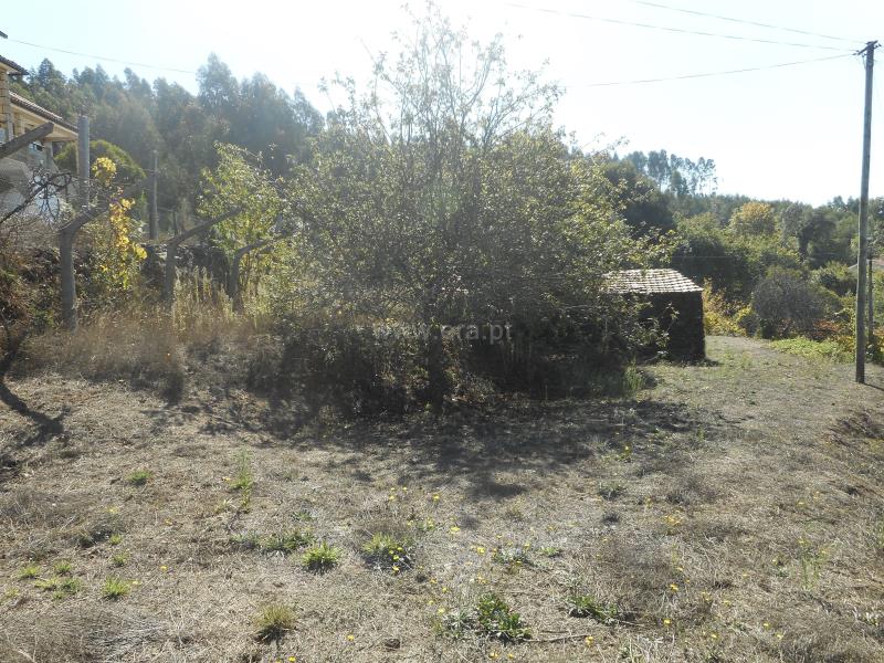 Terreno / Oliveira de Azeméis, Palmaz