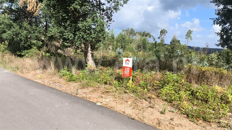 Terreno  Oliveira de Azeméis, Pinheiro da Bemposta, Travanca e Palmaz - 1502095 - 2