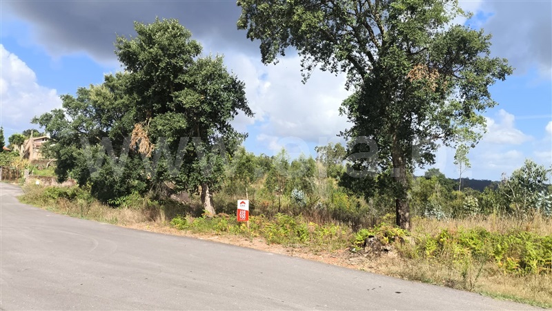 Terreno  Oliveira de Azeméis, Pinheiro da Bemposta, Travanca e Palmaz - 1502095 - 3