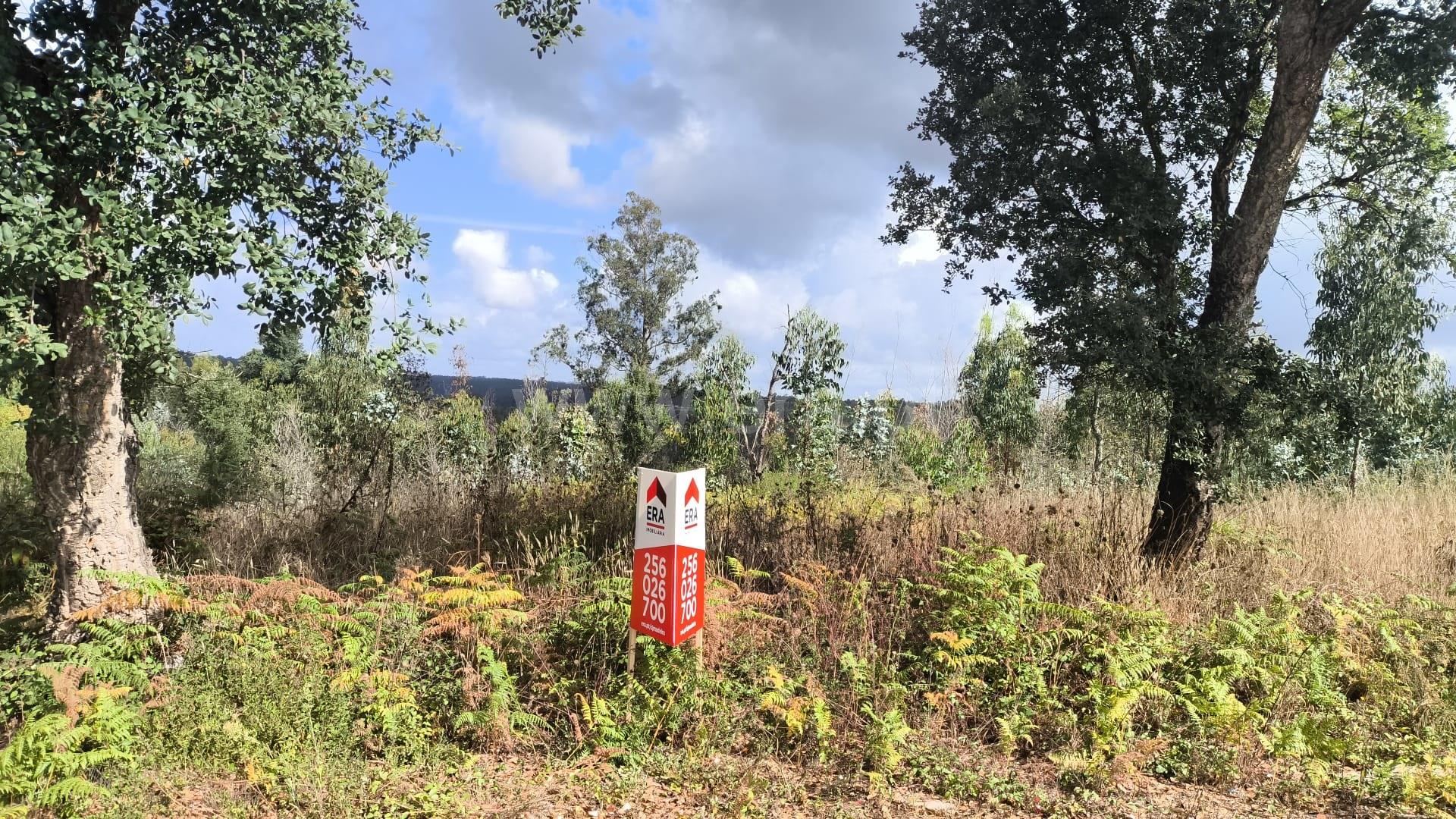 Land for sale in Oliveira de Azeméis, Portugal — €51,392