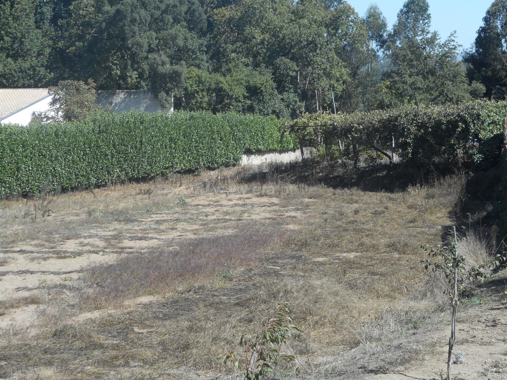 Terreno em Oliveira de Azeméis