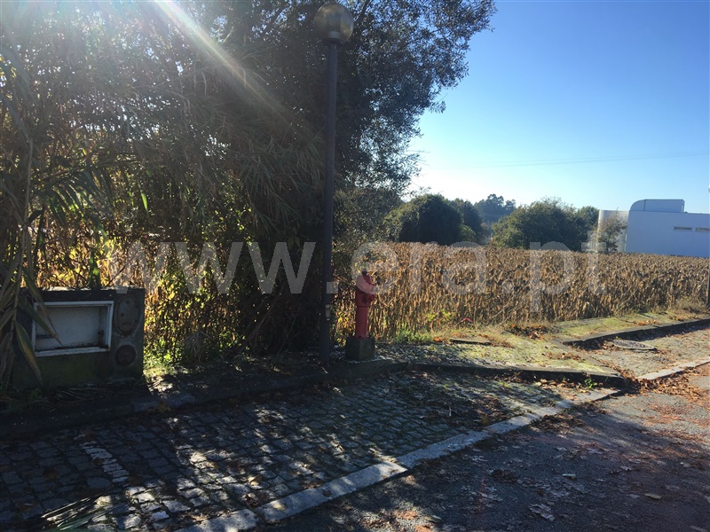 Terreno  Oliveira de Azeméis, Pinheiro da Bemposta - 1054497 - 2
