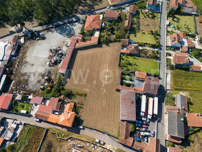 Terreno / Oliveira de Azeméis, São Martinho da Gândara