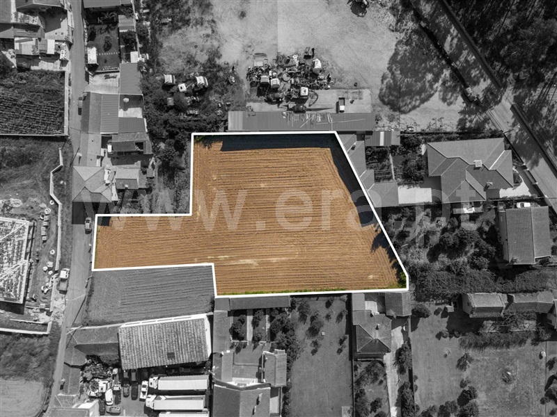 Terreno / Oliveira de Azeméis, São Martinho da Gândara