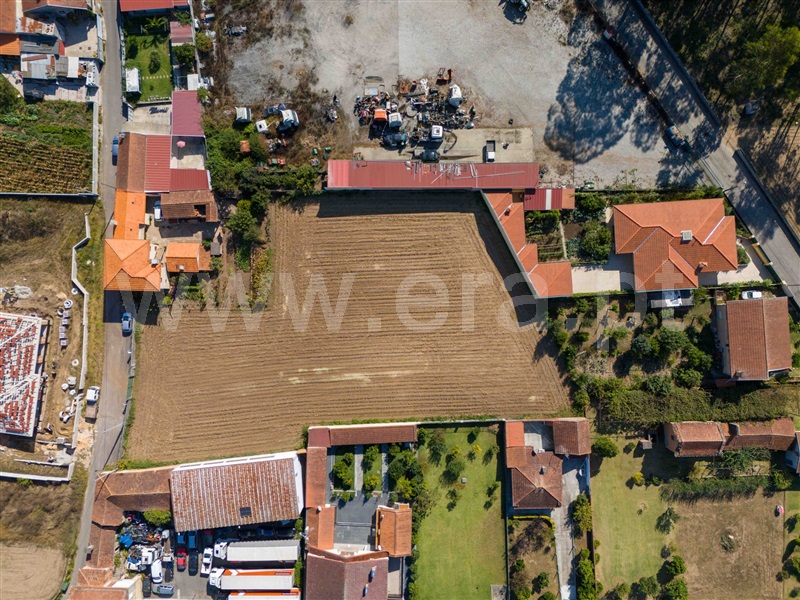 Terreno  Oliveira de Azeméis, São Martinho da Gândara - 1428479 - 7