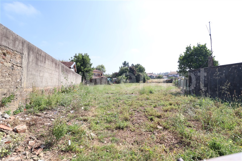 Terreno / Oliveira de Azeméis, São Martinho da Gândara