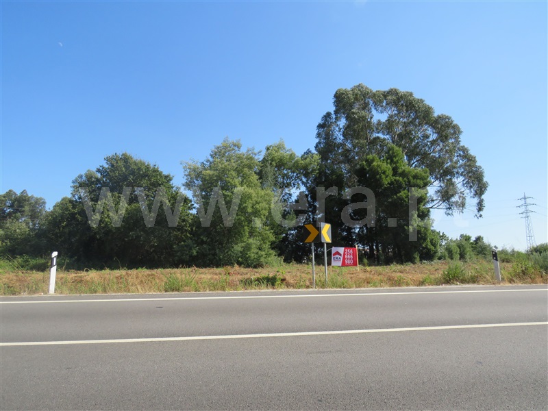 Terreno / Oliveira de Azeméis, São Roque