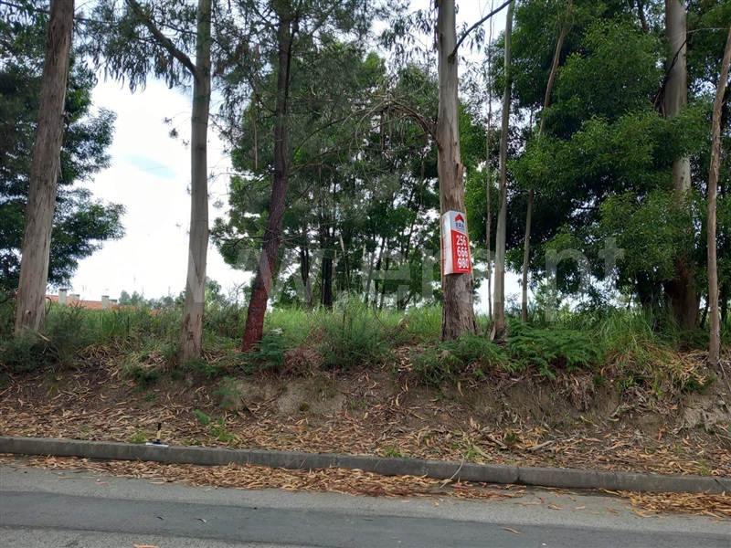 Terreno / Oliveira de Azeméis, Travanca