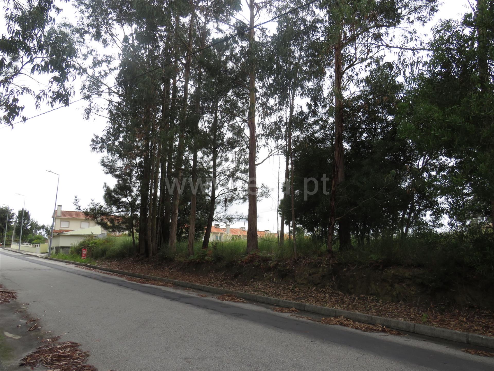 Land for sale in Oliveira de Azeméis, Portugal — €107,500