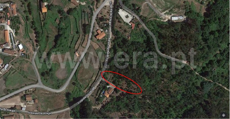 Terreno  Oliveira de Frades, Arcozelo das Maias - 1298651 - 1