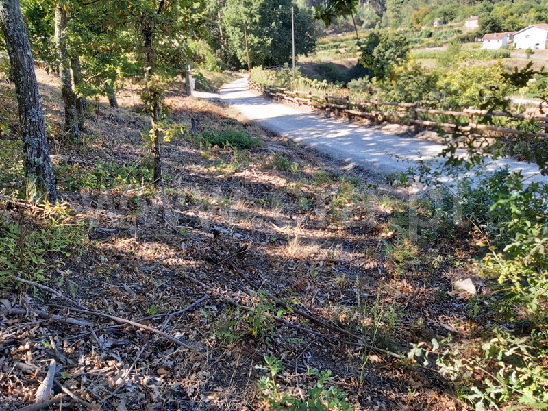Terreno  Oliveira de Frades, Arcozelo das Maias - 1298651 - 2