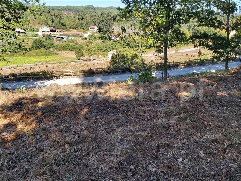 Terreno / Oliveira de Frades, Arcozelo das Maias