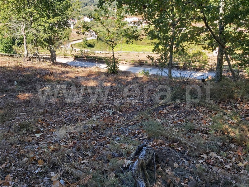 Terreno  Oliveira de Frades, Arcozelo das Maias - 1298651 - 6
