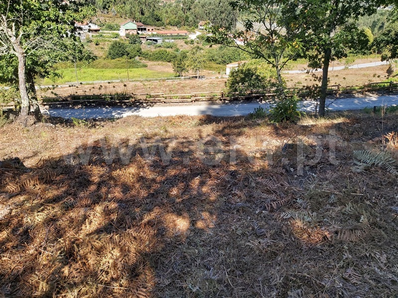 Terreno  Oliveira de Frades, Arcozelo das Maias - 1298651 - 8