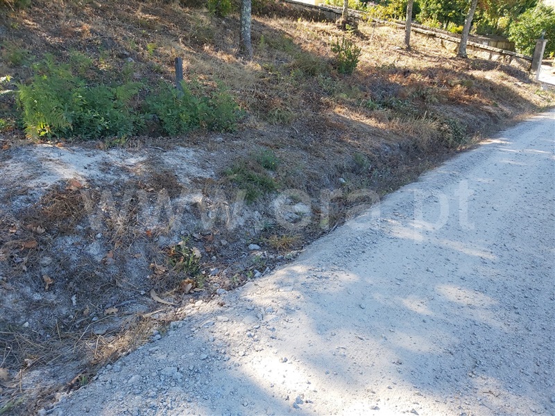 Terreno  Oliveira de Frades, Arcozelo das Maias - 1298651 - 12