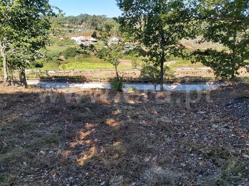 Terreno  Oliveira de Frades, Arcozelo das Maias - 1298651 - 13