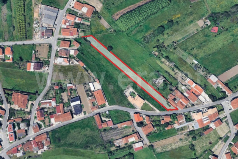 Terreno / Oliveira do Bairro, Bustos