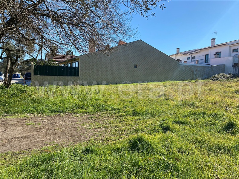 Terreno / Oliveira do Bairro, Carris