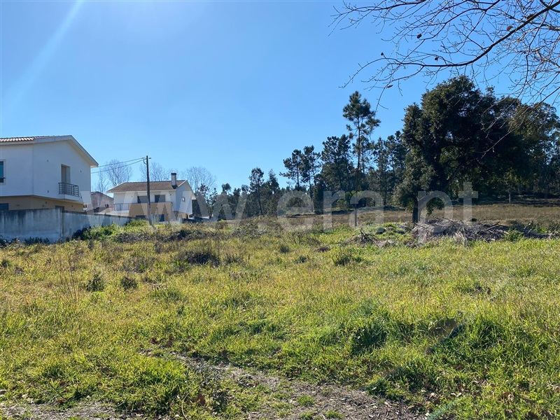 Terreno  Oliveira do Bairro, Agras de Cima, Oiã - 1313312 - 2