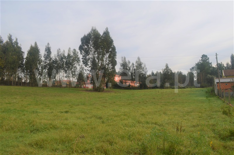 Terreno  Oliveira do Bairro, Oiã, Oliveira do Bairro - 1221119 - 1