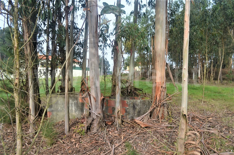 Terreno  Oliveira do Bairro, Oiã, Oliveira do Bairro - 1221119 - 6