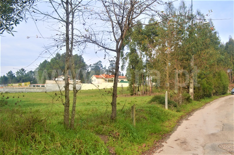 Terreno  Oliveira do Bairro, Oiã, Oliveira do Bairro - 1221119 - 8
