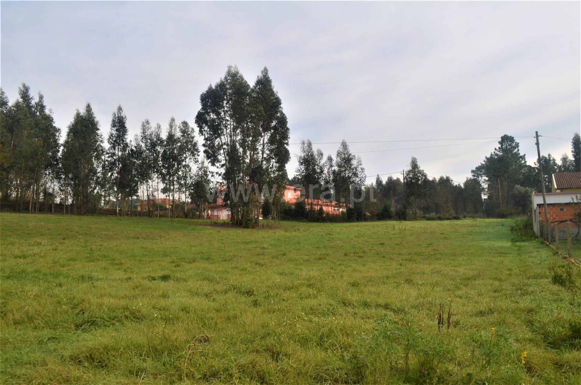 Land for sale in Oliveira do Bairro, Portugal — €80,000