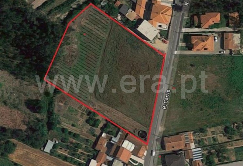 Terreno / Oliveira do Bairro, Oiã