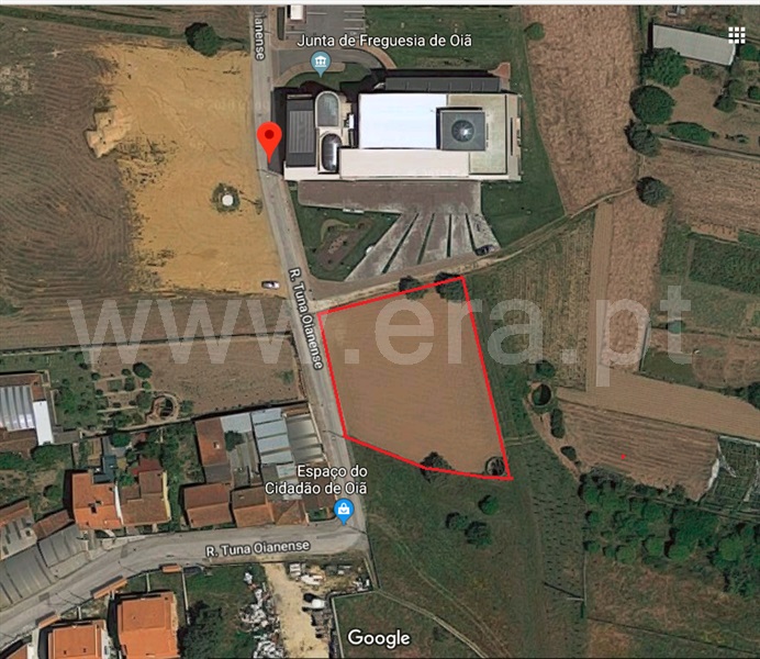 Terreno / Oliveira do Bairro, Oiã