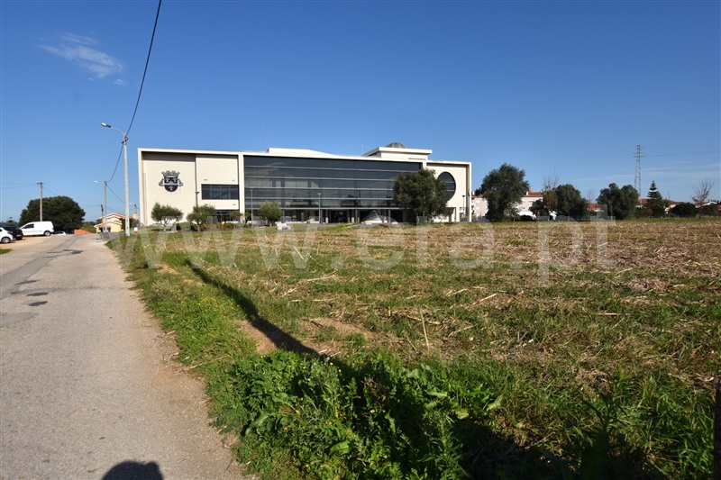 Terreno  Oliveira do Bairro, Oiã - 1168582 - 3
