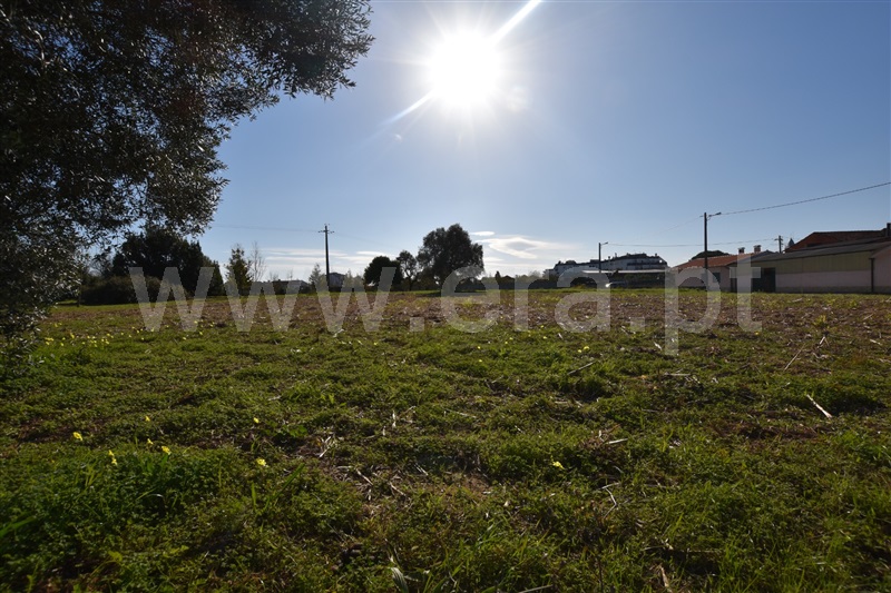 Terreno  Oliveira do Bairro, Oiã - 1168582 - 5