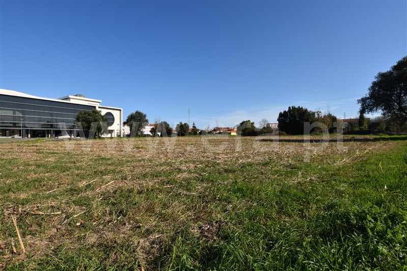 Terreno  Oliveira do Bairro, Oiã - 1168582 - 6