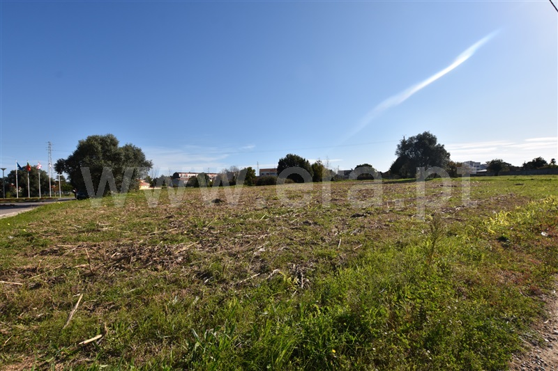 Terreno  Oliveira do Bairro, Oiã - 1168582 - 7