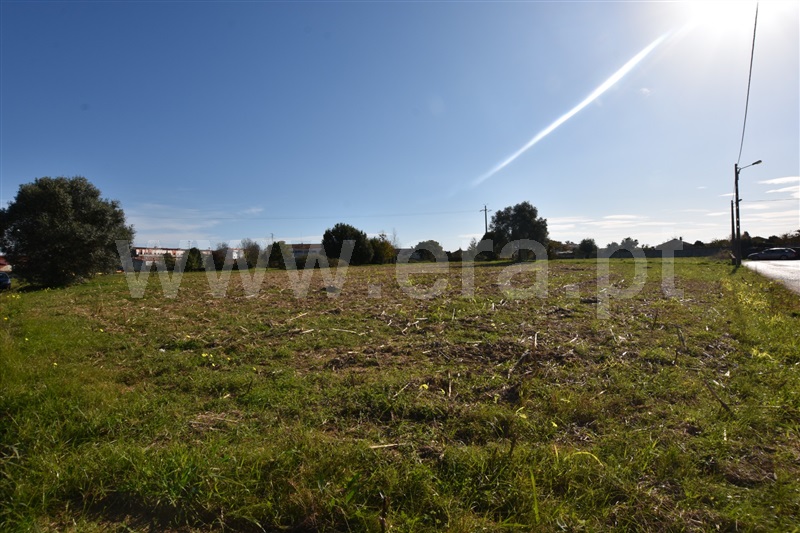 Terreno  Oliveira do Bairro, Oiã - 1168582 - 8