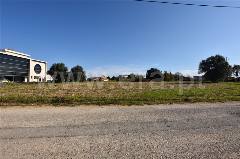 Terreno  Oliveira do Bairro, Oiã - 1168582 - 9