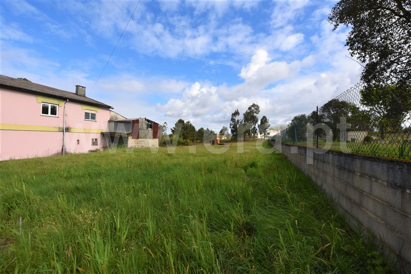 Terreno / Oliveira do Bairro, Oiã