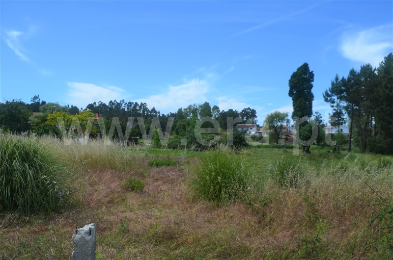 Terreno  Oliveira do Bairro, Oiã - 1250528 - 3