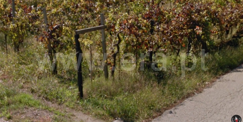 Terreno / Oliveira do Bairro, Oiã